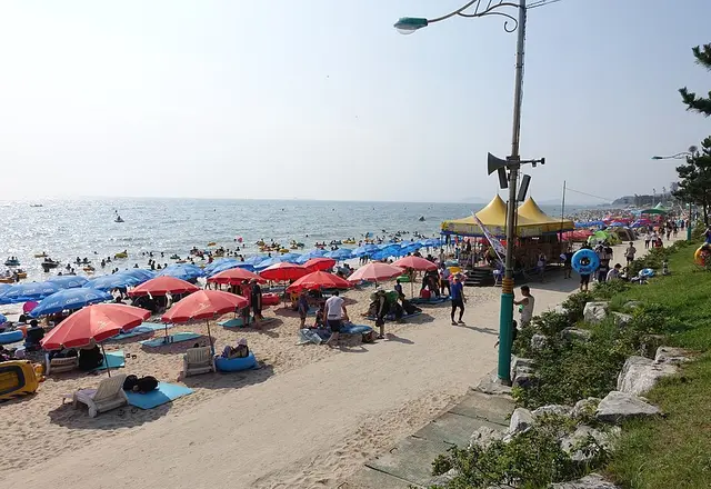 Boryeong Mud Festival & Daecheon Beach