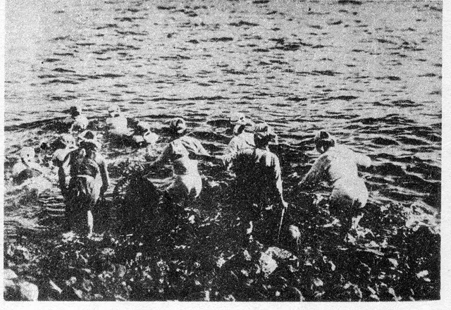 Haenyeo Female Diver Culture