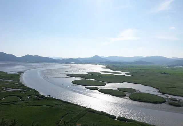 Suncheon Bay Wetland Reserve & Garden